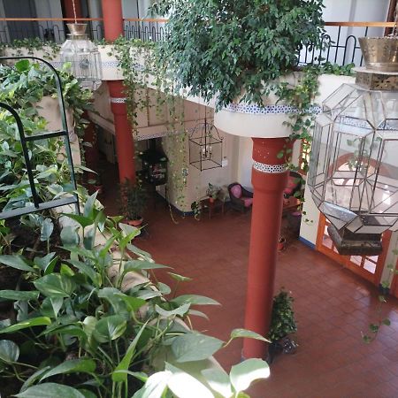 Estudio Reina Y Pastora El Rocio Apartman Kültér fotó
